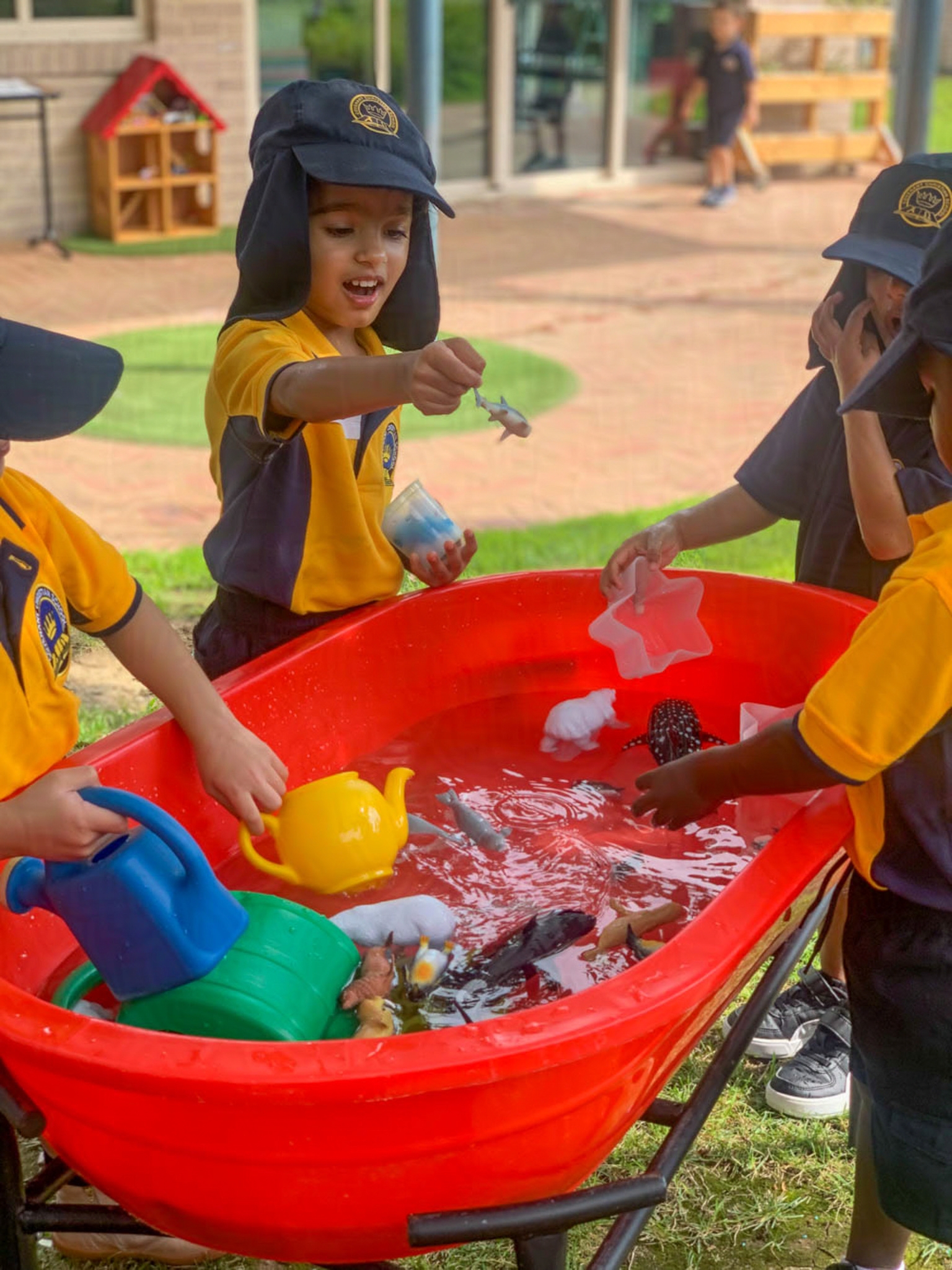 Early Learning